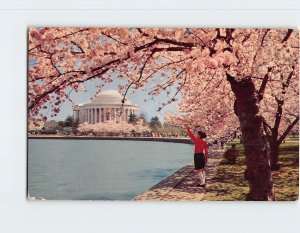 Postcard Jefferson Memorial, Washington, District of Columbia