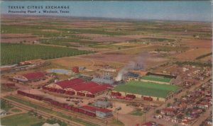 Postcard Texsun Citrus Exchange Processing Plant Weslaco Texas TX