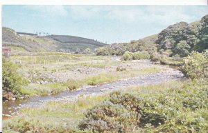 Northumberland Postcard - Langleeford Valley    Z379