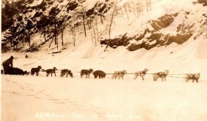 RPPC Real Photo Postcard - Royal Canadian Mountie Police Dog Sled Team Yukon