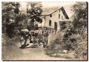 Modern Postcard The Basque farmhouse and not Basque hitch