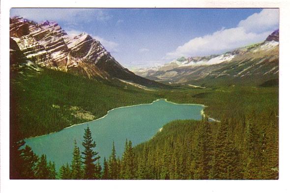 Mount Patterson, Peyto Lake, Alberta, Canadian Rockies, Byron Harmon