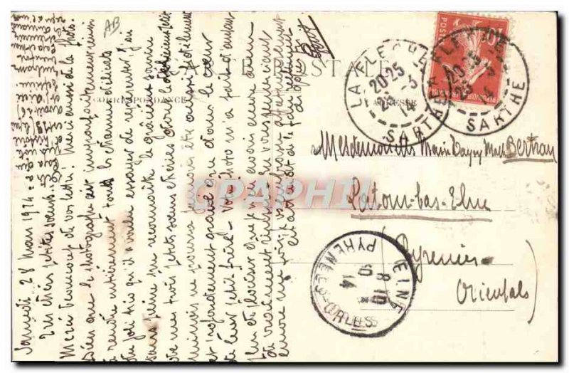 Old Postcard Horse Equestrian