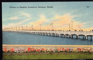 Florida ~ Angling Fishing on Ringling Causeway at SARASOTA LINEN