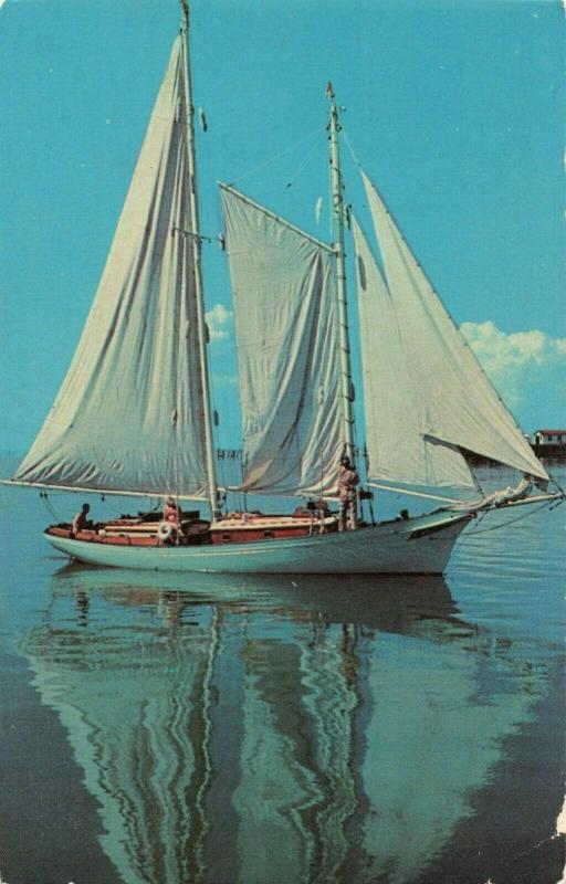 Postcard Sailboat Becalmed!