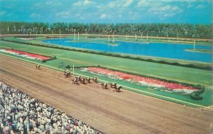 Hialeah Florida Horse Race Track A Thrilling Race Chrome Postcard Unused
