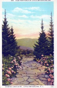 VINTAGE POSTCARD VIEW FROM THE PORCH OF LITTLE SWITZERLAND INN NORTH CAROLINA