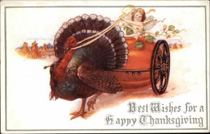 Thanksgiving Fantasy Fairy in Pumpkin Cart Pulled by Turkey Vintage Postcard