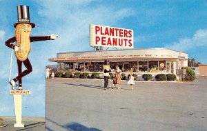 Camp Hill Pennsylvania The Peanut Store, Planters, Multi-View Chrome, PC U16403