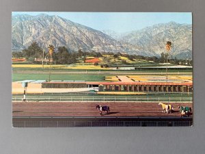 Santa Anita Arcadia CA Chrome Postcard A1155093930