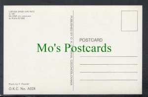 Aviation Postcard - Libyan Arab Airlines Aeroplane SW4174