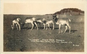 Postcard RPPC South Dakota Hot Springs Antelope State Game Preserve B-303 23-940