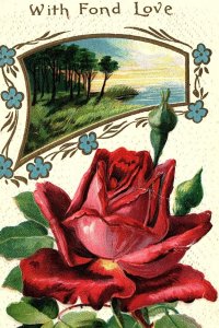 c1910 VALENTINES ROSE SCENIC LAKE FLOWERS EMBOSSED POSTCARD 44-143