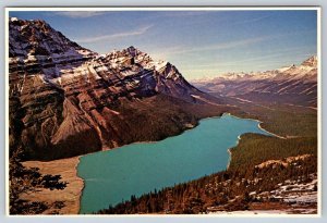 Peyto Lake, Banff National Park, Alberta, Chrome Aerial View Postcard