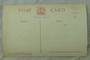 C.1910 Patriotic, Ferry Building Illuminated, San Francisco, Cal. Postcard P61 