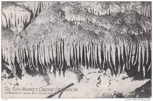 Fish Market, Caverns, LURAY, Virginia, 00-10s