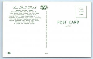 NAPLES, Florida FL ~ Roadside SEA SHELL MOTEL Pool 1960s Collier County Postcard 