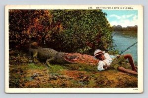 Black Americana Waiting for a Bite in Florida - Alligator Postcard