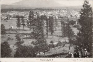 Cranbrook BC British Columbia People Birdseye Unused Lewis Rice Postcard H41