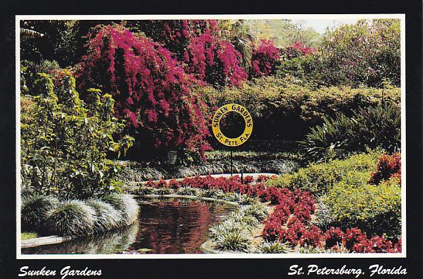 Reflective Pool At Sunken Gardens St Petersburg Florida Hippostcard