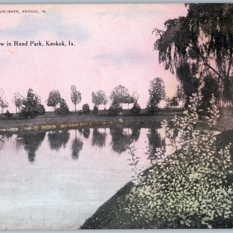 c1910s Keokuk, IA Rand Park Lovely Weeping Willow Art Illustration Westcott A189