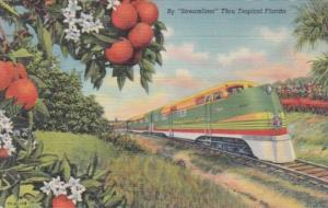 Seaboard Coast Line Orange Blossom Special Streamliner Through Tropical Flori...