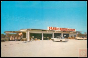 Orange Blossom Groves, Clearwater, FL