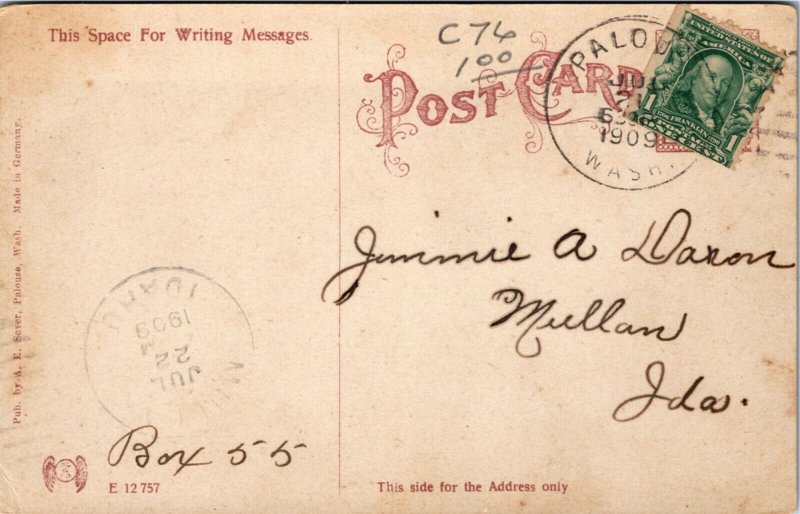 Postcard WA Palouse On the Palouse River 1909 S68