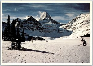 Mt. Assiniboine Provoncial Park Canada Matterhorn Of Canadian Rockies Postcard