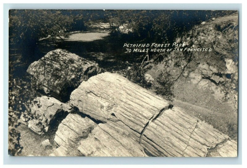 c.1910 RPPC Petrified Forest Santa Rosa, CA #2 Postcard F65