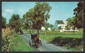 Pennsylvania, Ephrata - Amish Families Returning From Church - [PA-027]