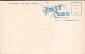 Postcard Citizen's Fire Co No 1 Palmyra PA