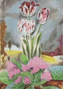 London Pink Tulips London Transport 1960s Poster Painting Postcard