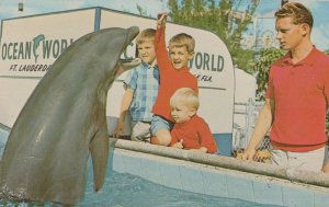 1960s  Florida Sea Park Feeding Dolphins Food Van Old Postcard