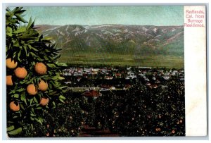 c1910's Redlands California From Burrage Residen CA Vintage Unposted Postcard