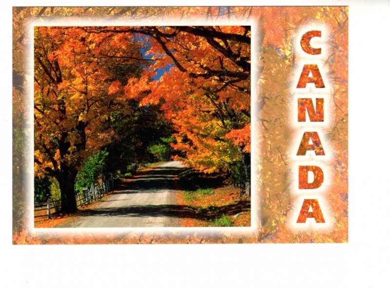 Large 5 X 7 inch, Images of Canada, Country Road During Autumn