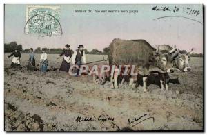 Old Postcard Folklore Sowing wheat is serving his country Oxen Plowing