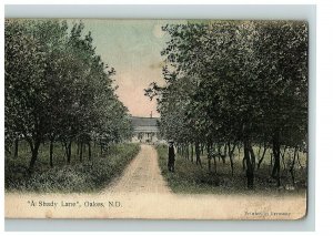 1910 Postcard A Shady Lane Oakes North Dakota Man Standing By Dirt Road 