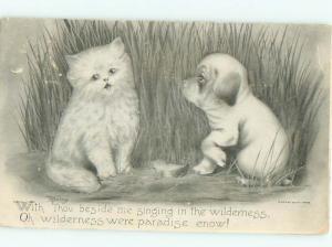 Pre-Linen signed KITTEN CAT WITH CUTE DOG AC5322