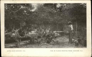 Black Americana Man Feeding Deer Sanford Florida FL c1905 Postcard