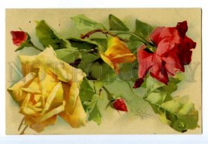 497567 Catherine KLEIN Pretty Yellow & Red ROSES Vintage postcard