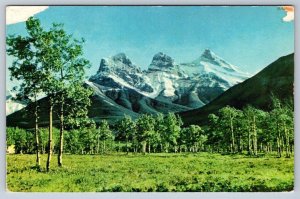 The Three Sisters, Canmore, Alberta, Vintage 1958 Chrome Postcard