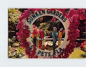 Postcard Florida's Sunken Gardens, St. Petersburg, Florida