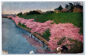 Tokyo Japan Postcard Cherry Blossom Ushigone Advertising 1921 Antique