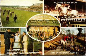 Irish Horse Racing Shows Hospital Sweeps Derby Meath Hounds Ireland Postcard