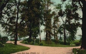 Vintage Postcard 1910 Pine Point Park Recreational Area Spot Camden New Jersey