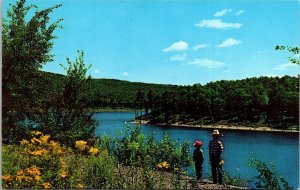 Boys Fishing Lake Postcard Blue Sky VTG UNP Curteich Vintage Unused Chrome 