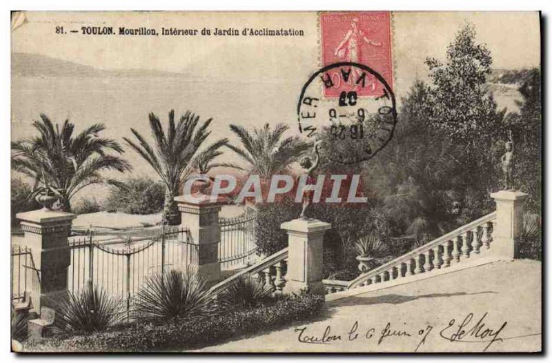Old Postcard Toulon Mourillon Interior of garden & # 39acclimation