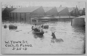 Columbus Ohio~West Town Street Under Water~Boat Leads Horse~March 1913 Flood