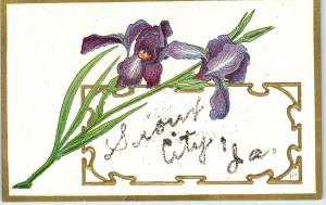 GREETINGS FROM  SIOUX CITY, IA Iowa    With Flowers, Glitter   c1910s   Postcard